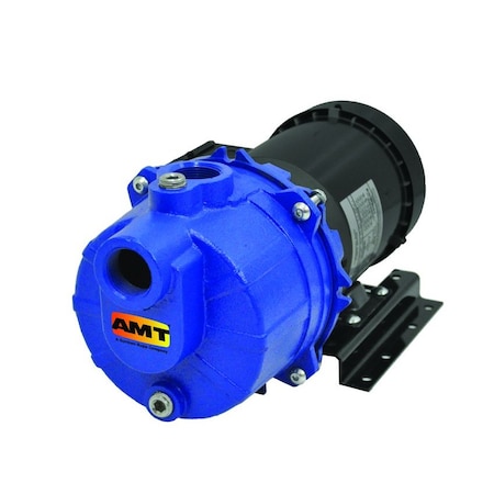 Amt Pump 1-in. NPT Cast Iron Pump w/ 1/2 HP 1PH TEFC 1SP05C-1P